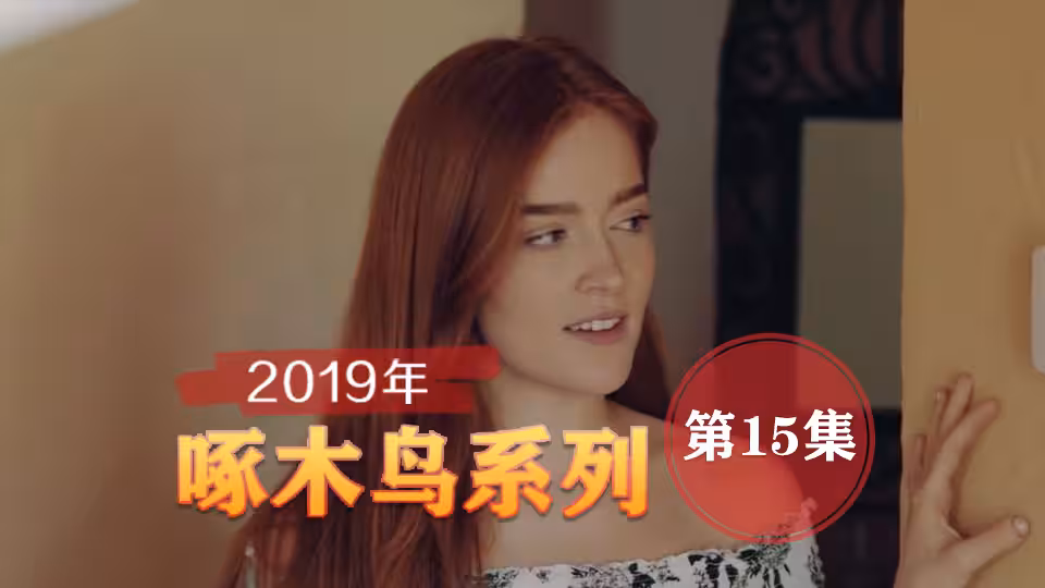 翹起小屁屁求插太騷了 啄木鳥19年系列-第15集