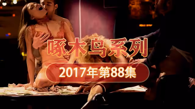 巨乳肥臀木瓜奶 啄木鳥17年系列-第88集