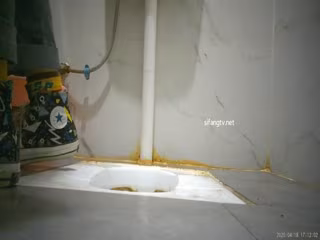 最新廁所TP兩個清純眼鏡美眉噓噓