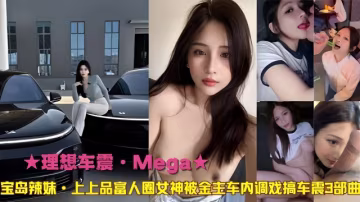 理想車震·Mega寶島辣妹·上上品富人圈女神被金專車內調戲搞車震3部曲