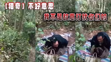 【獵奇】不好意思，我不是故意打擾你們的