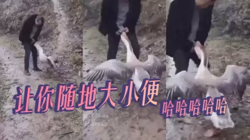 讓你隨地大小便，哈哈哈哈哈