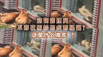 動物管理員不穿衣服給老虎看騷逼？這是什麼操作 ？