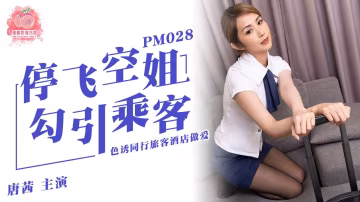 PM02-停飞空姐色诱旅客!-精品力荐..