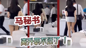 马秘书离升职不远了的