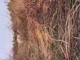 JZJD-892 绿帽淫妻绿帽男带淫妻野外勾引钓鱼佬操逼k