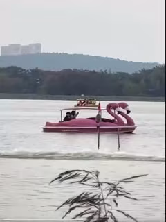幅度也太大了..