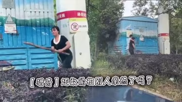 【獵奇】還敢偷拍別人親熱了嗎 ？
