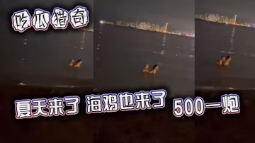 吃瓜猎奇夏天来了海鸡也来了500一炮.