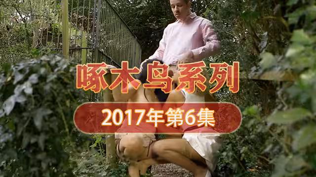 私處的慾望對話 啄木鳥17年系列-第6集