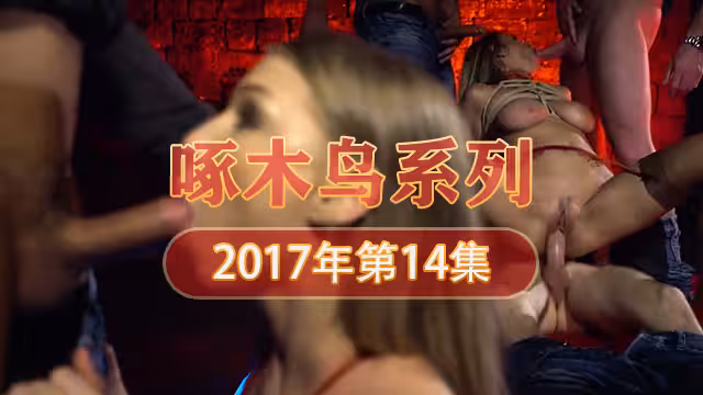 大家的肉便器 啄木鳥17年系列-第14集