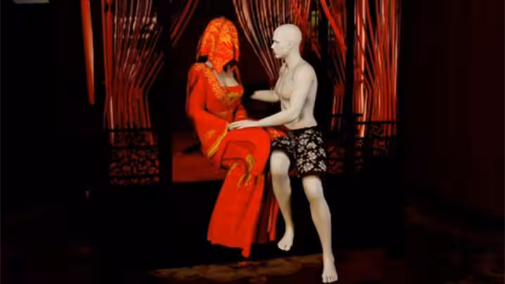 VAM ［完美世界］柳神配音 新婚之夜