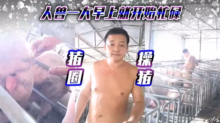 豬圈操豬人獸一大早上就開始忙碌