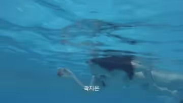 隱秘的來客
