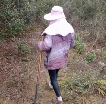 海角社區.和媽媽上山幹活的第2天野戰成功拿下老媽