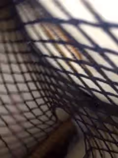 極品淫蕩人妻_連體開襠漁網襪_口交肉棒一流_淫水直流抽插直打滑