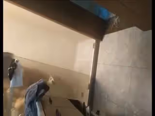 3#江蘇足模製服口交性愛服務，把男主爽飛了