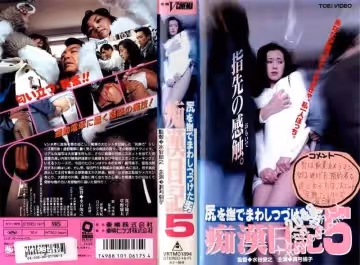 痴漢日記5