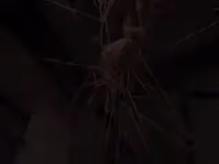 狂繩將一流女優全綁起來把這些女的玩的哇哇叫