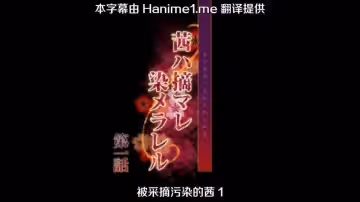 被採摘污染的茜1