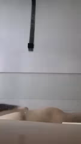 【AI高清2K修復】2021529，【老表探花】，清純校園風外圍小姐姐，膽真大直接浴室偷拍，美乳嫩穴胴體誘人，近景口交角度完美