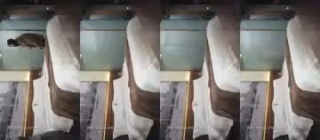 探花系列偷拍實錄12.7——真實跟拍極品外圍女，高清無碼記錄酒店激情夜