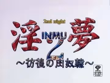 淫夢2彷徨の肉奴隸2ndnight