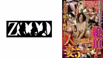 458ZOOO-111 高速ピストンで絶頂！どろどろの精子で種付けさせられた人妻 5 樋口亜美