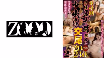458ZOOO-104 発情期！閉経五十路熟女の卑猥な接吻と濃厚中出し交尾20人240分ベスト 2 綾乃さえ 冬木舞