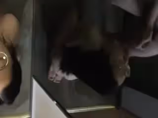 #顏射_顏射大三眼鏡騷女友，把舌頭伸出來，射你臉上！ (1)