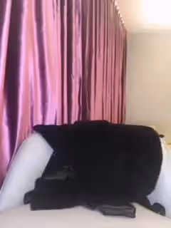 母狗就是騷，各種各樣道具，情緒服嬌小身軀與粗大陽具的結合反差好大5...