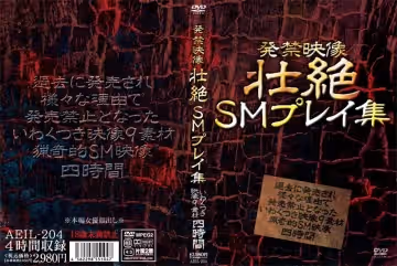 aeil00204 発禁映像 壯絶SMプレイ集