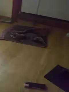 ，和騷逼女友的一天7..