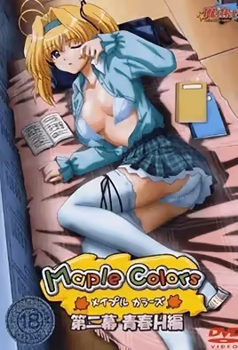 MapleColors楓之彩2