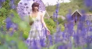 JasmineJ紫色花海的愛的!