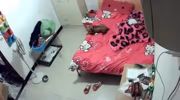 [在線]水滴流出：愛狗的妹子脫光衣服蹲下來逗狗