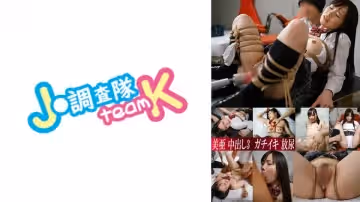 376H-502 美亜