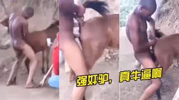 強姦,驢真牛,逼啊