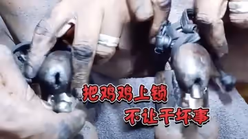 把雞雞上鎖，不讓幹壞事