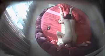 出軌騷婦與眼鏡情夫激情造愛干之前一起看A片淫語連天