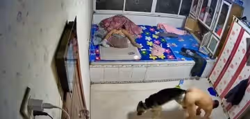牆都不扶，就服你的!