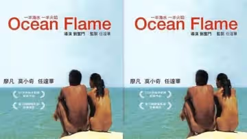 【香港】一半海水一半火焰(2008)