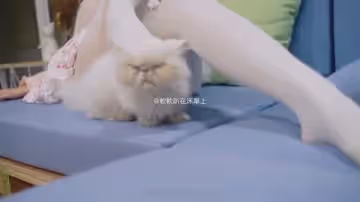 鈴木美咲（軟軟趴在床單上)-貓咖自拍