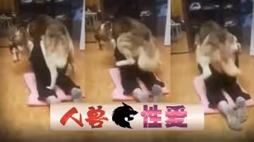 【國產人獸】狗狗後入抽插爽的有插了幾次