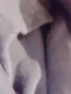 哥哥跳蛋爆菊了哦黑絲
