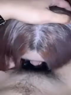 專心舔雞巴的小母狗。