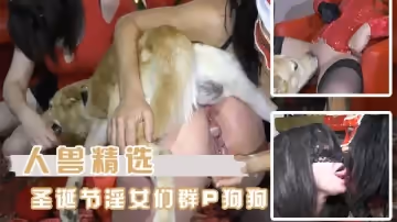 [人獸精選）聖誕節淫女們和狗狗的群P大狂歡