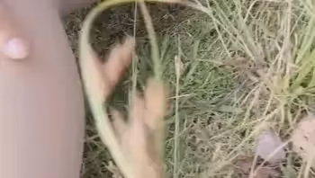 微博網紅福利姬橘貓戶外肉絲美乳直播福利