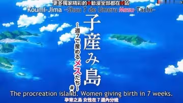 我想看的，子島上