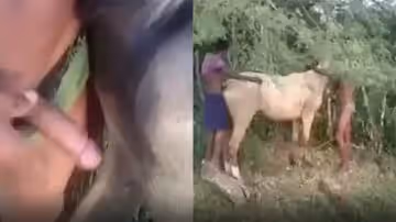 【人與獸】小小的男孩爆插母馬
